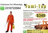 control de plagas